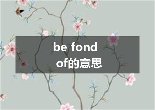 be fond of的意思