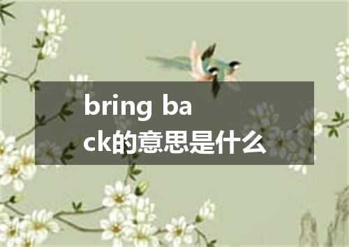 bring back的意思是什么