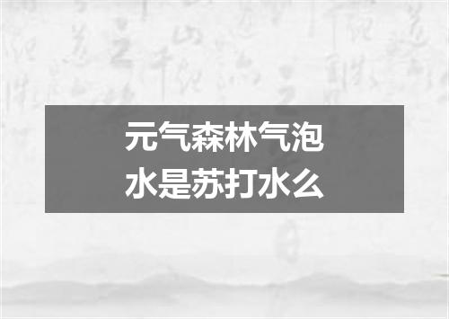 元气森林气泡水是苏打水么