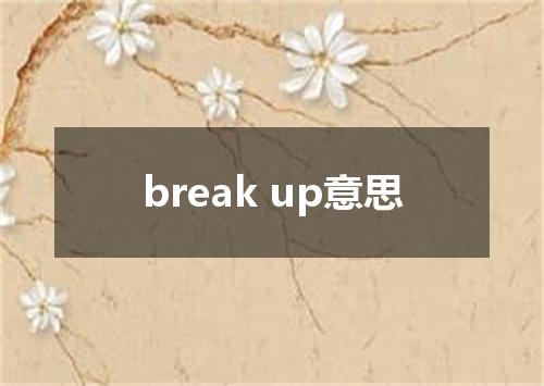 break up意思