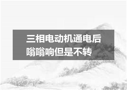 三相电动机通电后嗡嗡响但是不转