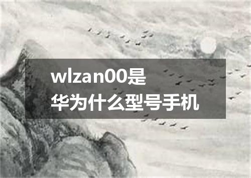 wlzan00是华为什么型号手机