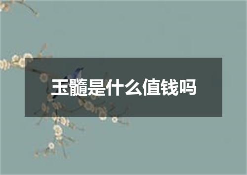 玉髓是什么值钱吗