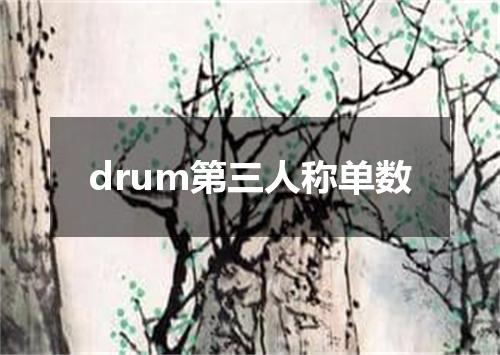 drum第三人称单数