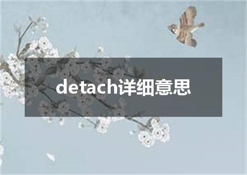 detach详细意思