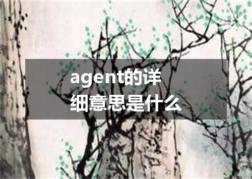 agent的详细意思是什么