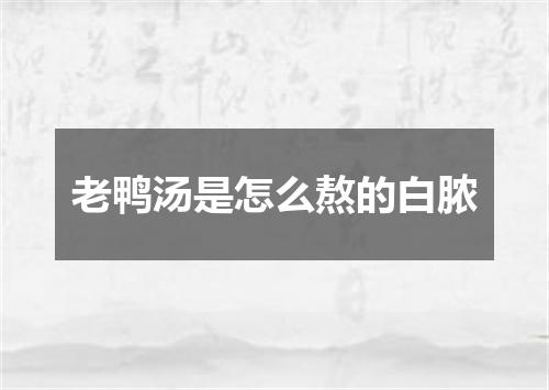 老鸭汤是怎么熬的白脓