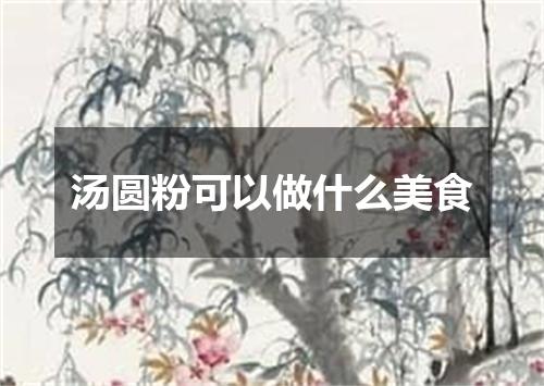 汤圆粉可以做什么美食