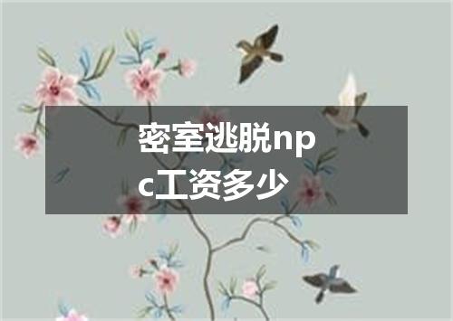 密室逃脱npc工资多少