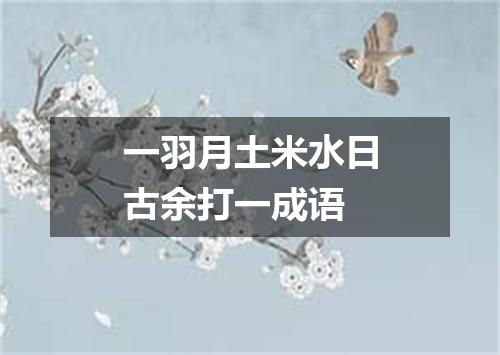 一羽月土米水日古余打一成语