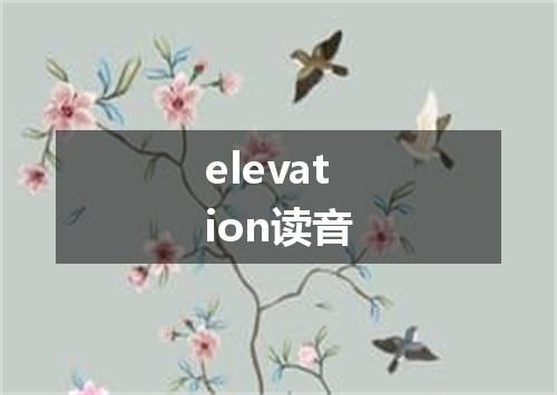 elevation读音