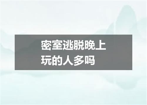 密室逃脱晚上玩的人多吗