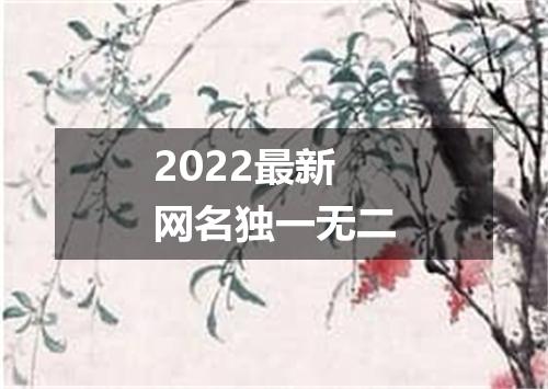 2022最新网名独一无二