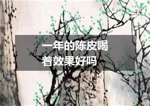 一年的陈皮喝着效果好吗