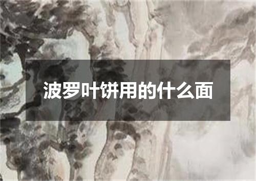 波罗叶饼用的什么面