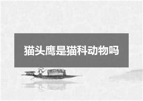 猫头鹰是猫科动物吗