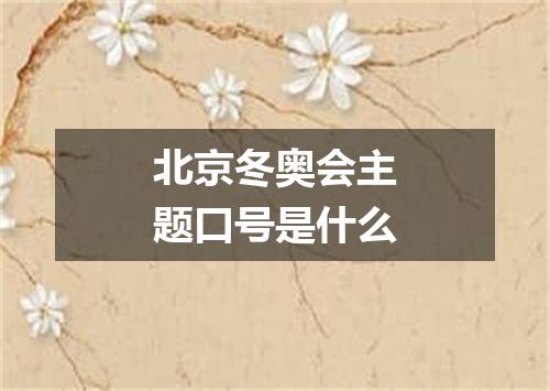 北京冬奥会主题口号是什么