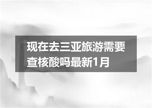 现在去三亚旅游需要查核酸吗最新1月