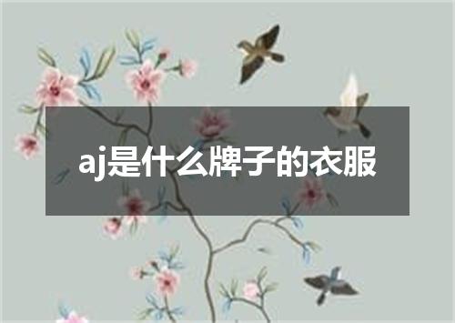 aj是什么牌子的衣服