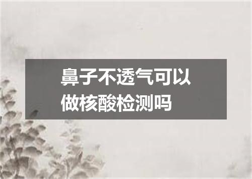 鼻子不透气可以做核酸检测吗