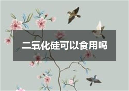 二氧化硅可以食用吗