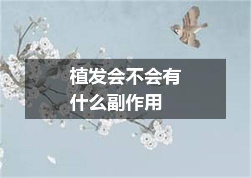 植发会不会有什么副作用