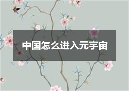中国怎么进入元宇宙