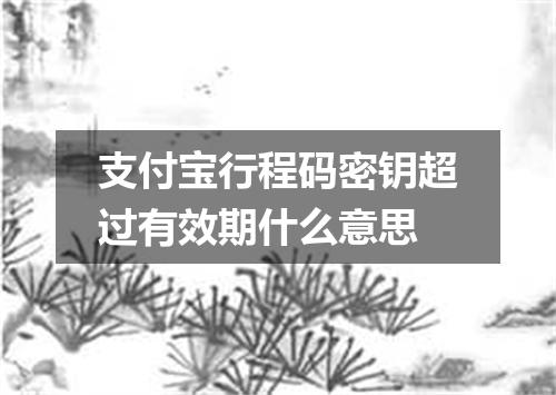 支付宝行程码密钥超过有效期什么意思