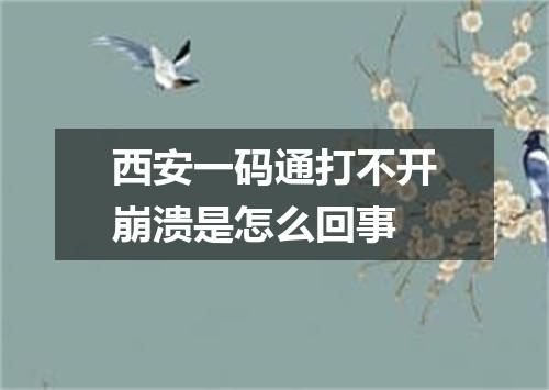 西安一码通打不开崩溃是怎么回事