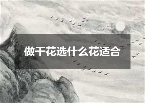 做干花选什么花适合