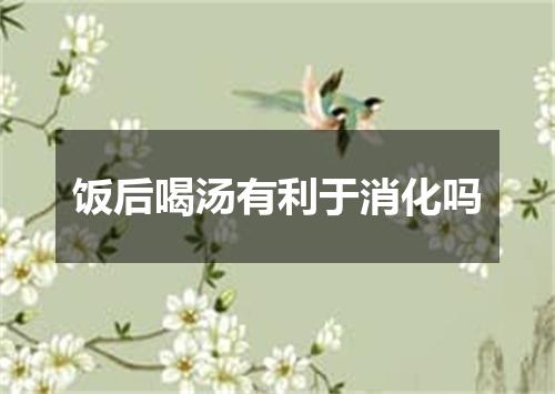 饭后喝汤有利于消化吗