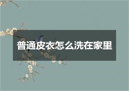 普通皮衣怎么洗在家里