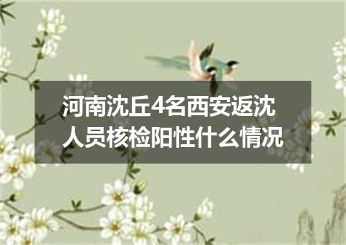 河南沈丘4名西安返沈人员核检阳性什么情况