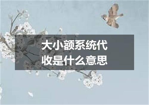 大小额系统代收是什么意思