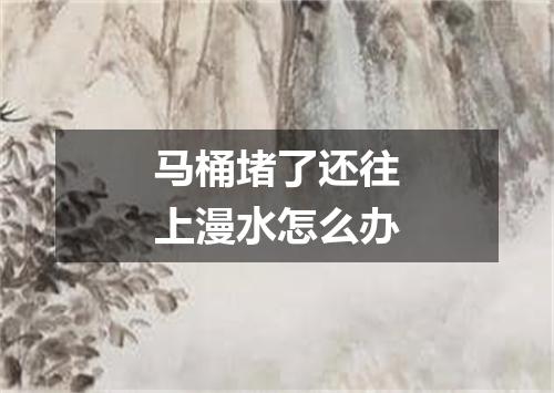 马桶堵了还往上漫水怎么办