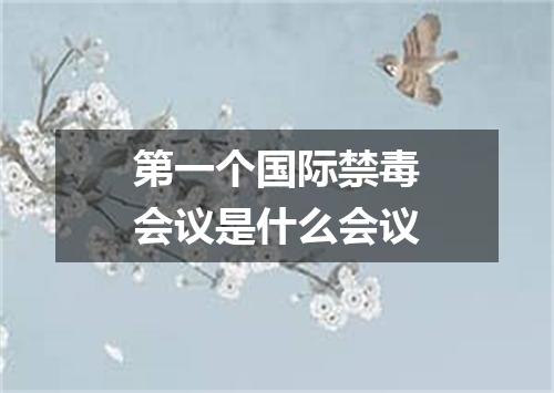 第一个国际禁毒会议是什么会议