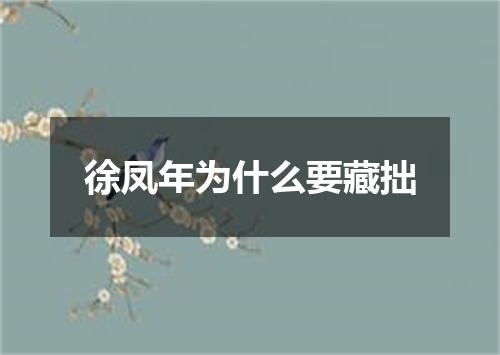 徐凤年为什么要藏拙