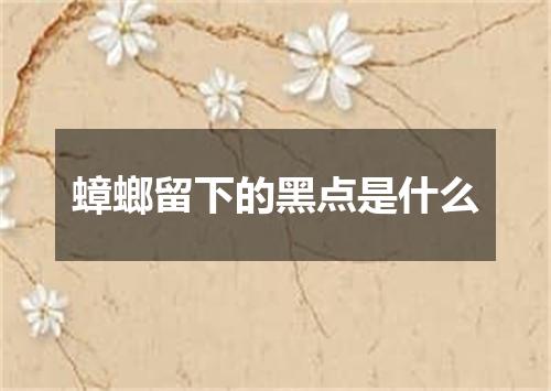 蟑螂留下的黑点是什么