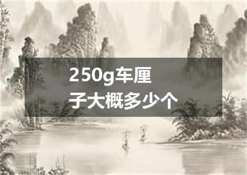 250g车厘子大概多少个