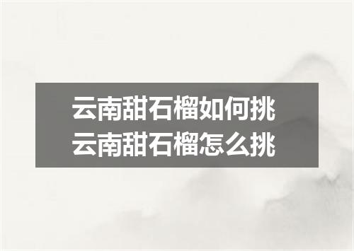 云南甜石榴如何挑 云南甜石榴怎么挑