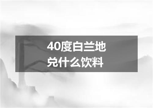 40度白兰地兑什么饮料