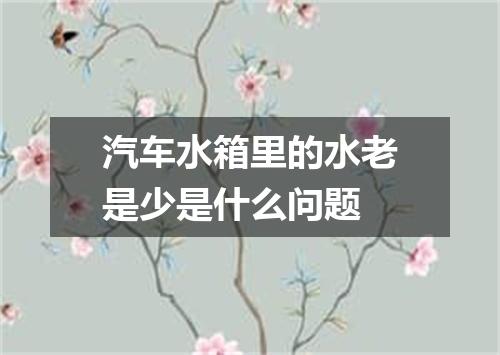 汽车水箱里的水老是少是什么问题