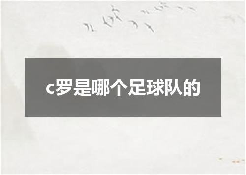 c罗是哪个足球队的