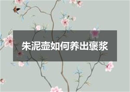 朱泥壶如何养出褒浆