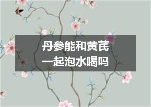 丹参能和黄芪一起泡水喝吗