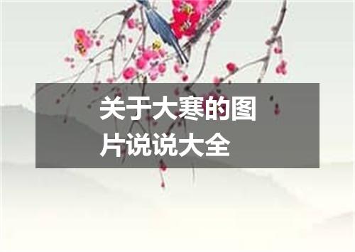 关于大寒的图片说说大全