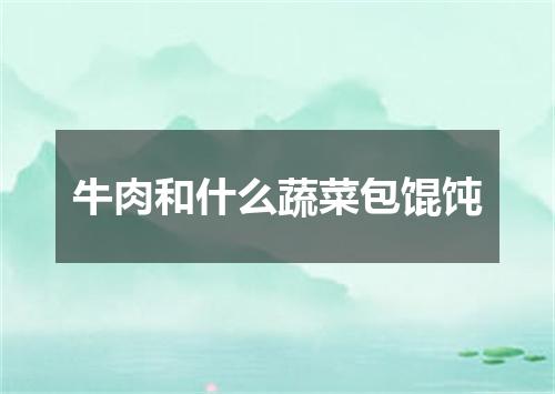 牛肉和什么蔬菜包馄饨