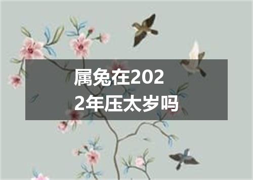 属兔在2022年压太岁吗