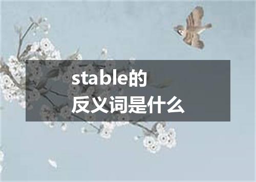 stable的反义词是什么