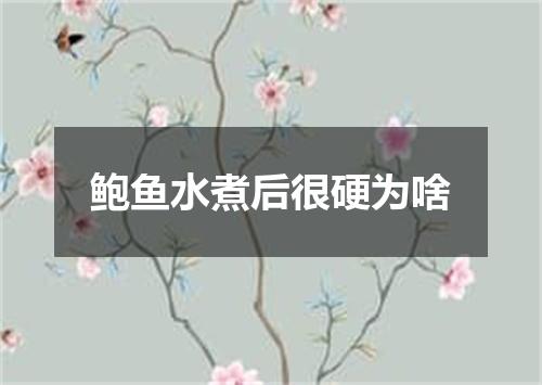 鲍鱼水煮后很硬为啥